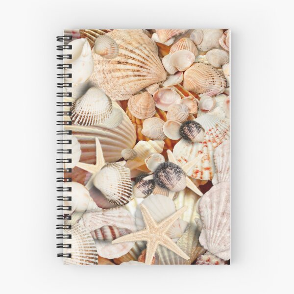 Item preview, Seashells Collection designed and sold by OldSoulInspired.