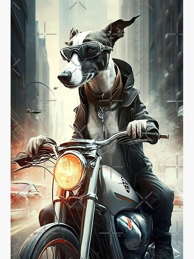 Pet Portrait of a Cool Retired Greyhound Dog Riding a Motorcycle