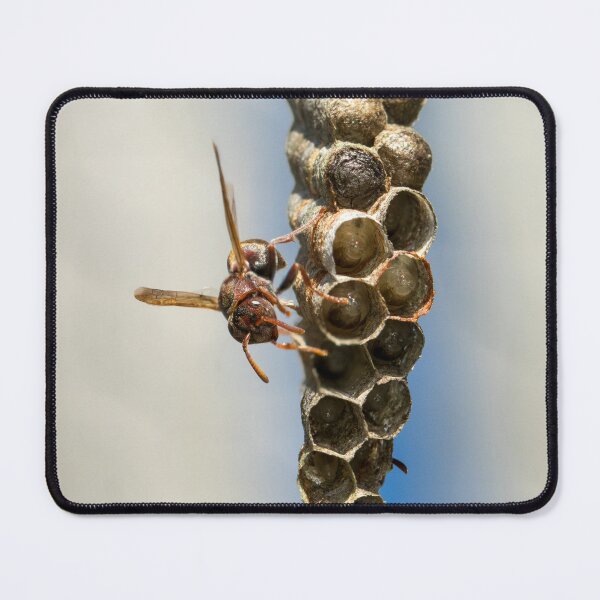 Item preview, Paper Wasp designed and sold by Jacquiamber.