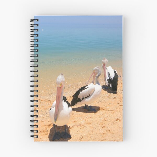 Item preview, Pelican Posers designed and sold by Nicola Morgan.
