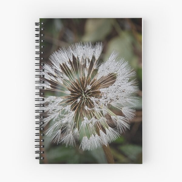 Item preview, Dandelion Leith Park Victoria 20170712 0928 designed and sold by Fred Mitchell.