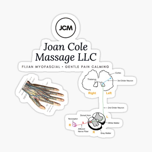 Joan Cole Massage - Gentle Pain Calming Sticker