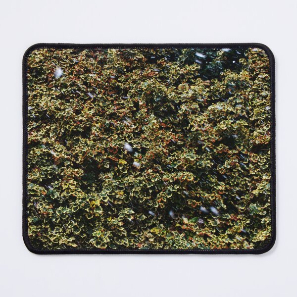 Item preview, Tiny Flakes In The Natural World designed and sold by Deoarts.