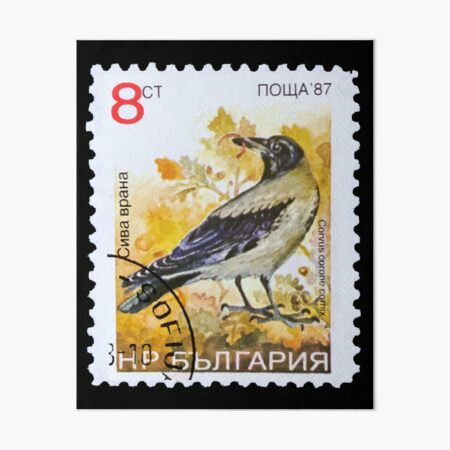 Australia Lyre Bird Vintage Postage Stamp | Cap