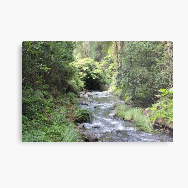 Item preview, Creek in the bush designed and sold by KELPIE77.