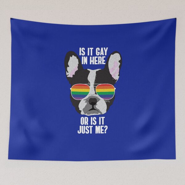 Item preview, IS IT GAY IN HERE OR IS IT JUST ME? - Funny Boston Terrier Dog Gay Pride Flag designed and sold by Lightfield.