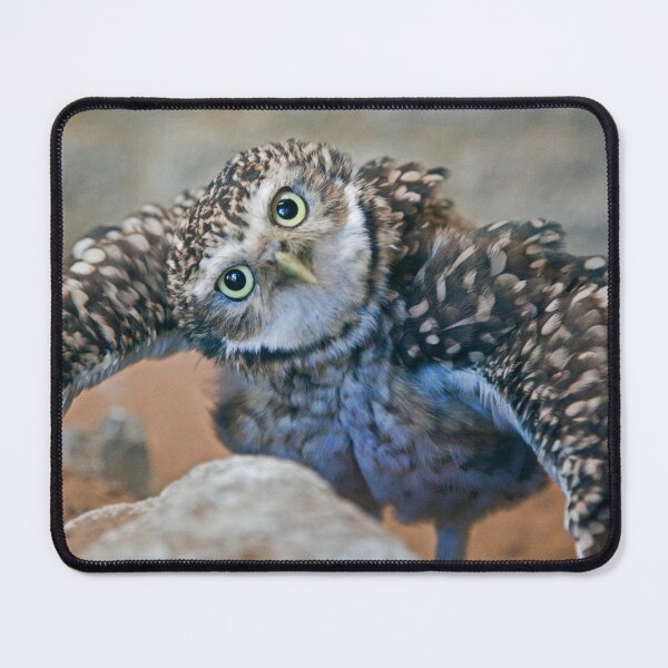 Item preview, Owl with Attitude (Burrowing Owl) designed and sold by Krys Bailey.