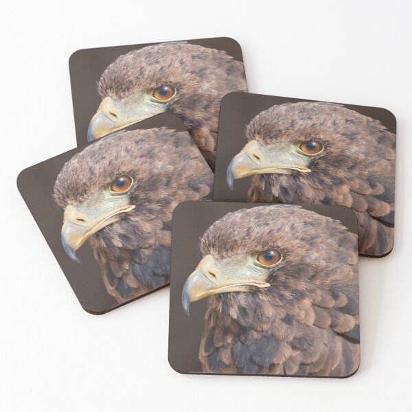 Item preview, Pine Cone Eagle designed and sold by Krys Bailey.