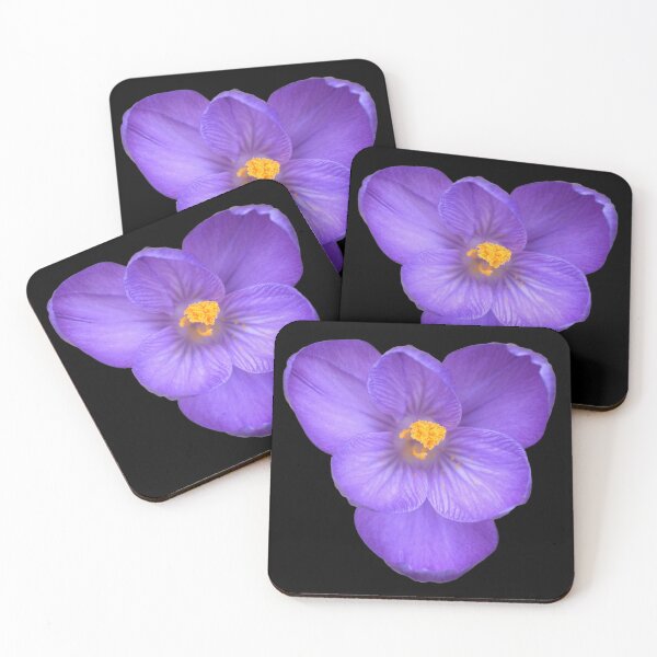 Item preview, Purple Crocus Open Blossom - black background designed and sold by Louise-Mae.