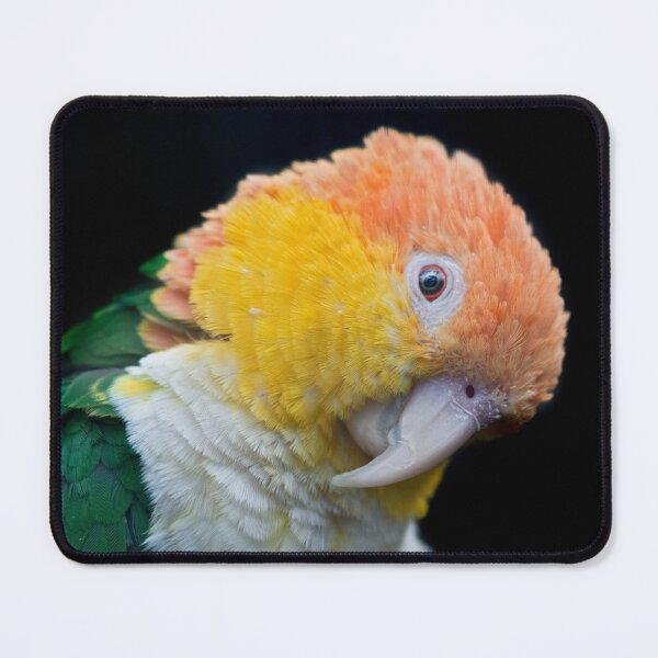 Item preview, Am I irresistable or what? designed and sold by Krys Bailey.