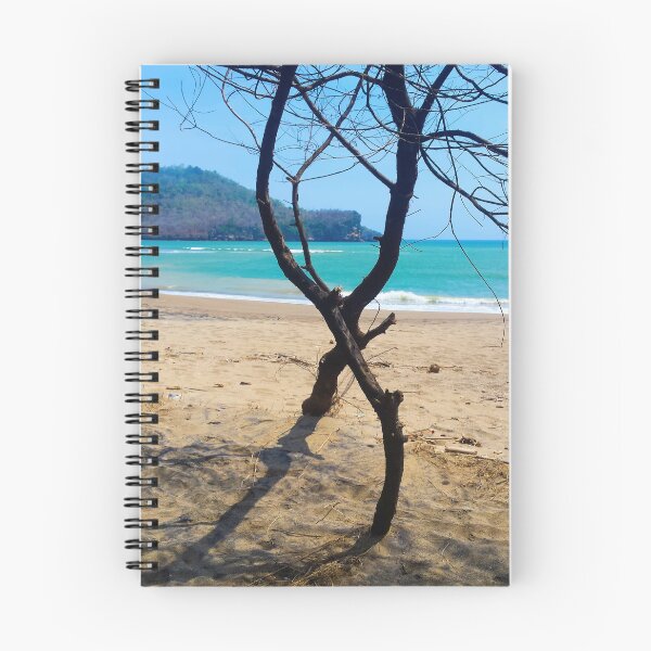 Item preview, Vertical view through two curved pine tree trunks to a sand beach designed and sold by kall3bu.