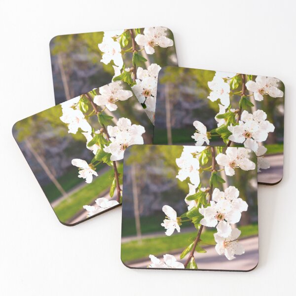 Item preview, cherry blossoms designed and sold by IgorKovalenko.