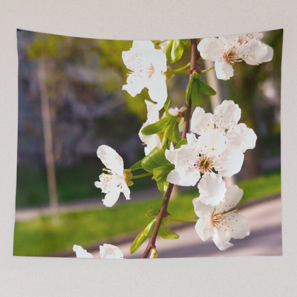 Artikelvorschau, cherry blossoms entworfen und verkauft von IgorKovalenko.