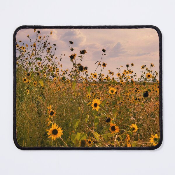 Aperçu de l'œuvre Tournesol Champ de rêves créée et vendue par erinlstaples.