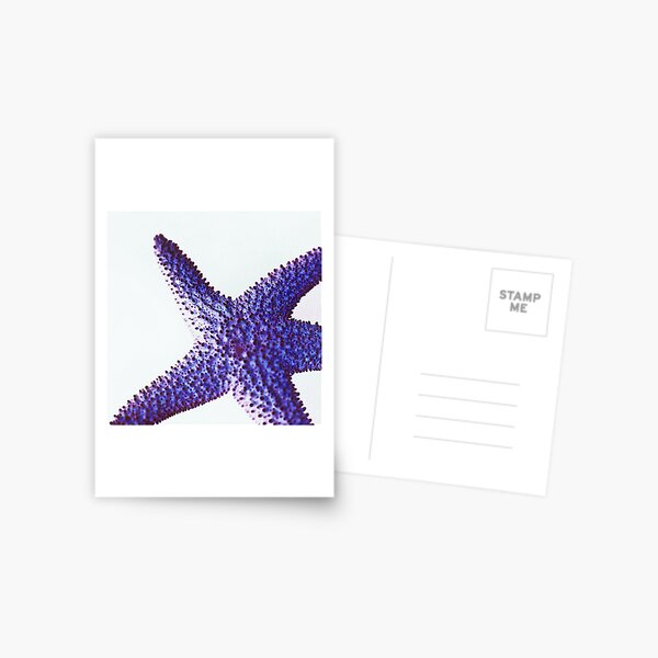 www.lizgarnett.com - starfish Postcard