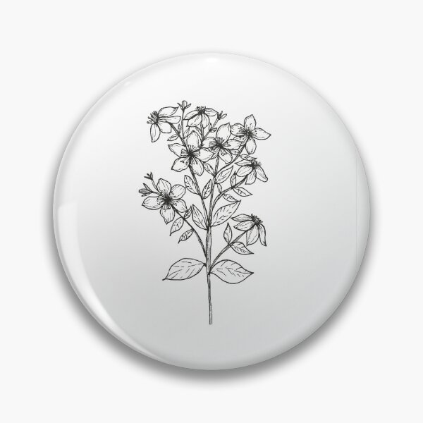 Item preview, Hypericum perforatum ink drawing. St. John's wort herb art.  designed and sold by FlowerGirlinHat.