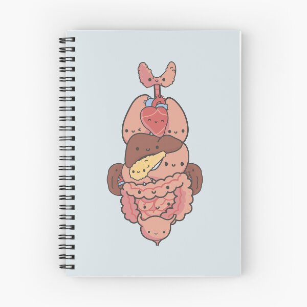 Item preview, Kawaii anatomy internal organs Cute Organ Anatomy designed and sold by TamGustam.