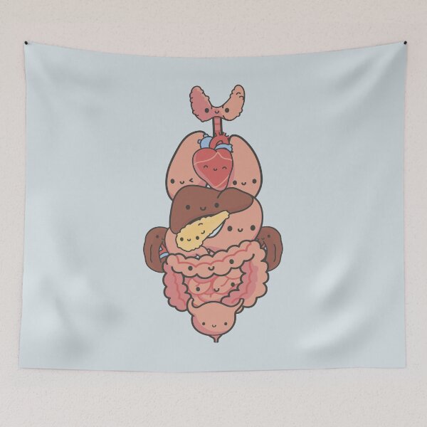 Item preview, Kawaii anatomy internal organs Cute Organ Anatomy designed and sold by TamGustam.