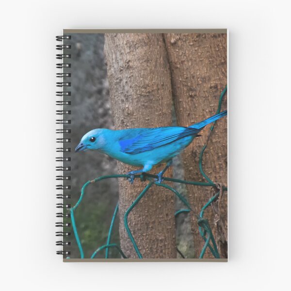 Item preview, Blue-Grey Tanagers Are A Welcome Sight II designed and sold by alabca.