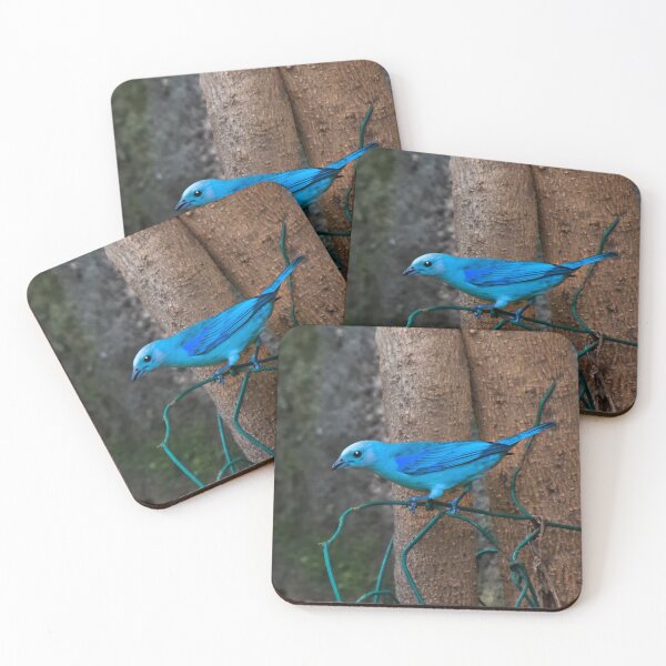 Item preview, Las tangaras gris azuladas son una vista agradable II designed and sold by alabca.