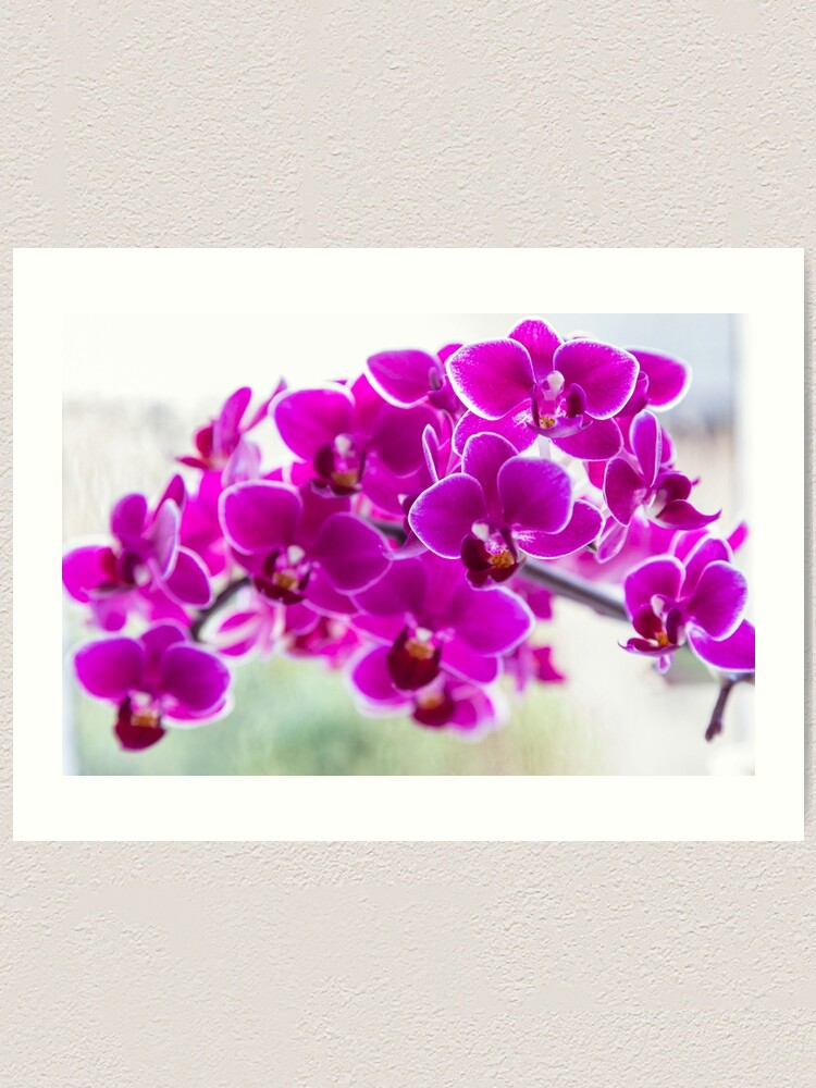 Home Décor Purple Orchids Print Prints Home & Living etna.com.pe