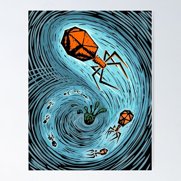 Lysis lino colour Poster