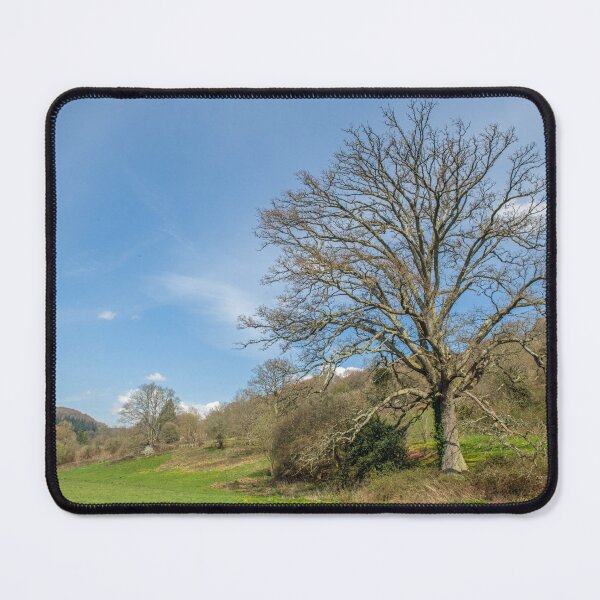 Item preview, Oak Tree by the River Wye in Wye Valley  designed and sold by Cameranick.