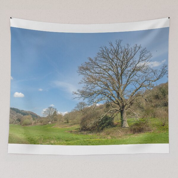 Item preview, Oak Tree by the River Wye in Wye Valley  designed and sold by Cameranick.