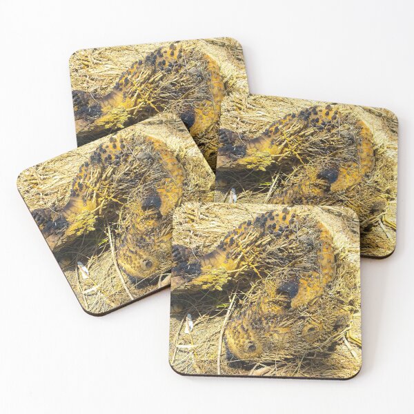 Item preview, A dead wood looks like an animal designed and sold by kall3bu.
