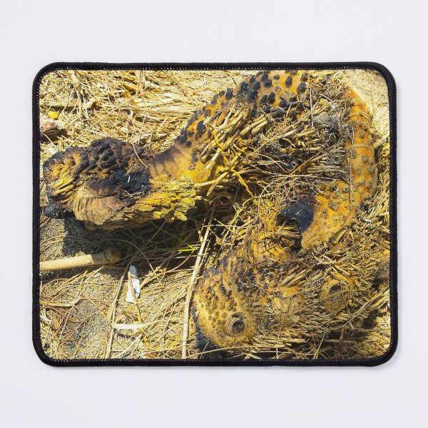 Item preview, A dead wood looks like an animal designed and sold by kall3bu.