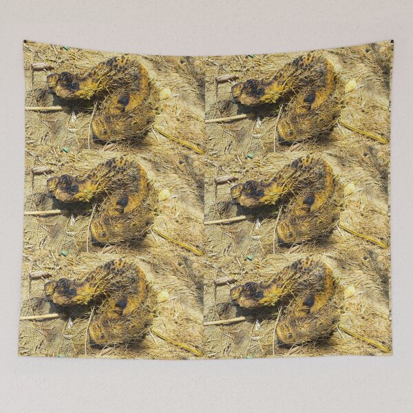 Item preview, A dead wood looks like an animal designed and sold by kall3bu.