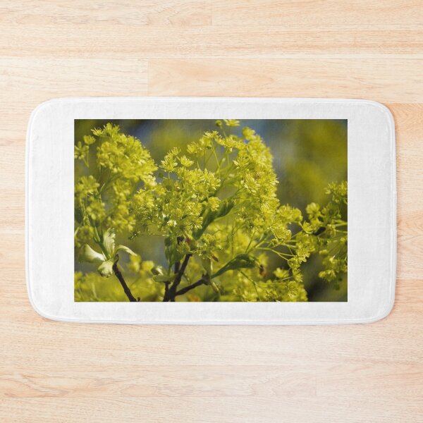 Item preview, Yellow flowers in spring with white background designed and sold by Binas-gallery.