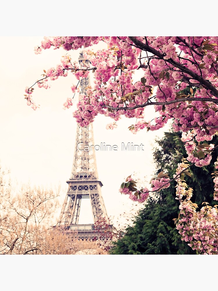 Cortina De Ducha Rosa Con La Torre Eiffel De París, Moderna