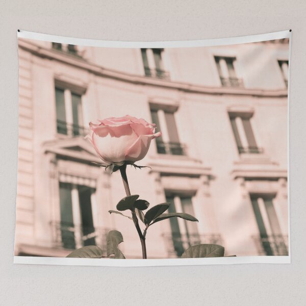 Item preview.