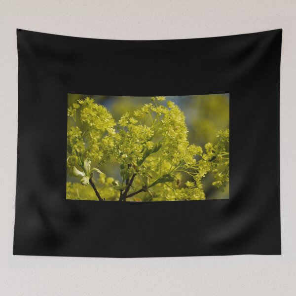 Item preview, Yellow flowers in spring with a black background designed and sold by Binas-gallery.