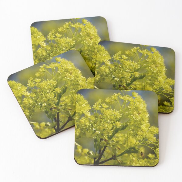 Item preview, Yellow flowers in spring with a yellow background designed and sold by Binas-gallery.