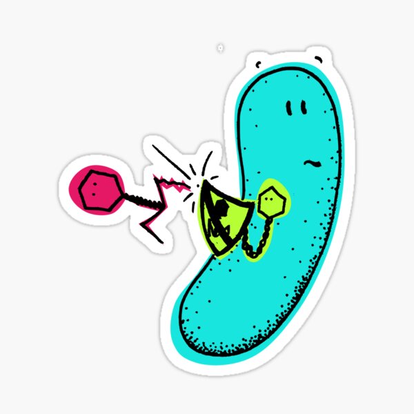 Shield Sticker