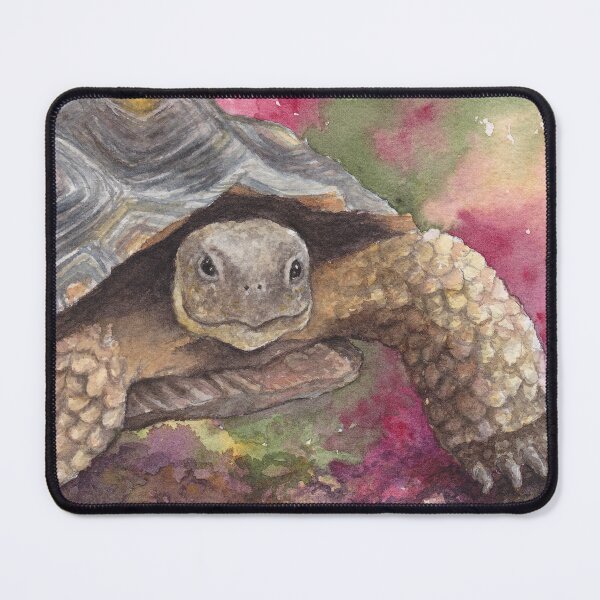 Item preview, Tortoise, Sonoran Desert designed and sold by tracyannholmes.