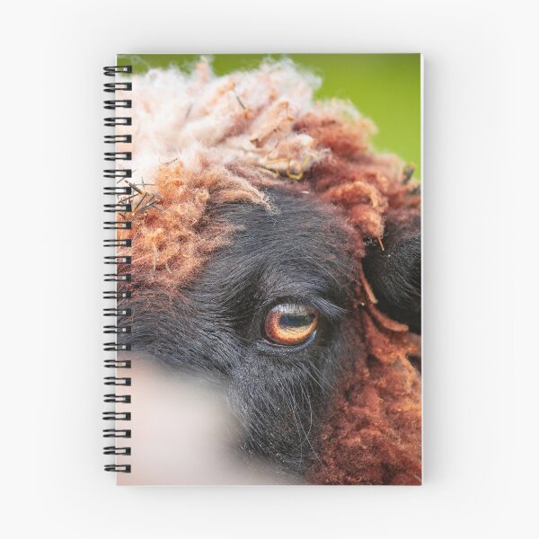 Item preview, Cute sheep, farm animals, outdoors on green field. designed and sold by AylaHarbich.