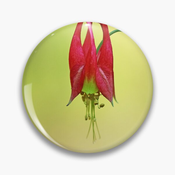 Item preview, Native Columbine designed and sold by Deb Oppermann.