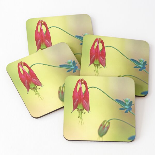 Item preview, Native Columbine designed and sold by Deb Oppermann.