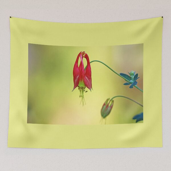 Item preview, Native Columbine designed and sold by Deb Oppermann.