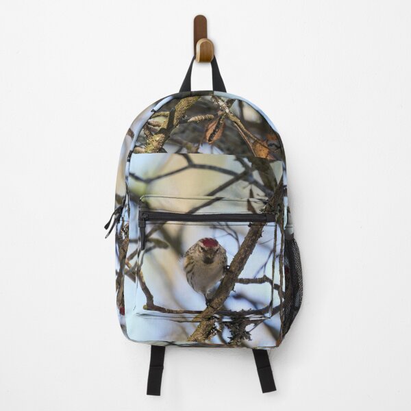 Item preview, Suspicious. Mealy redpoll designed and sold by Jouko Lehto Photography.