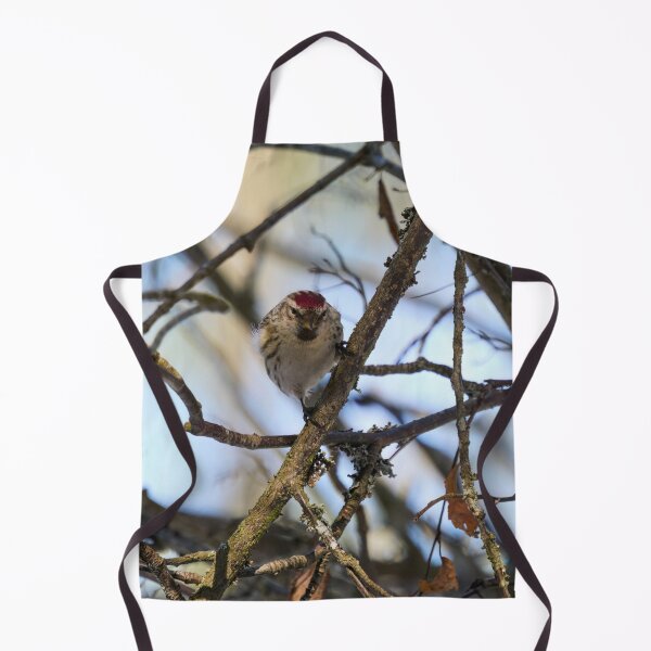 Item preview, Suspicious. Mealy redpoll designed and sold by Jouko Lehto Photography.