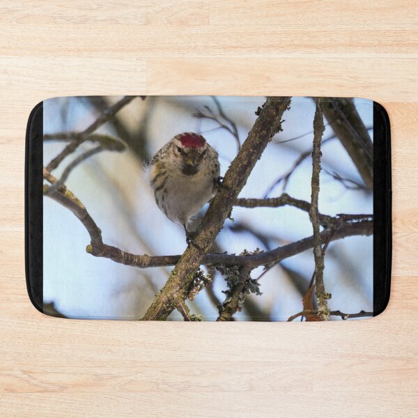 Item preview, Suspicious. Mealy redpoll designed and sold by Jouko Lehto Photography.