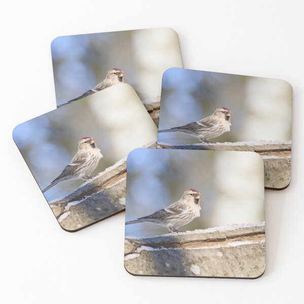 Item preview, Oh the sun so bright. Mealy redpoll designed and sold by Jouko Lehto Photography.
