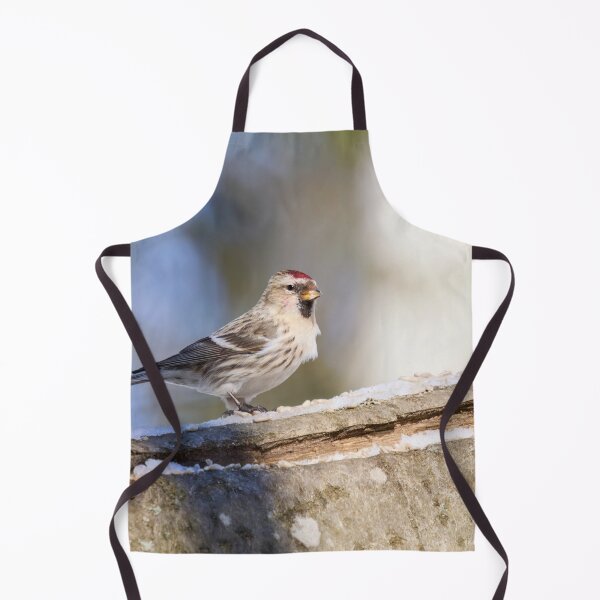 Item preview, Oh the sun so bright. Mealy redpoll designed and sold by Jouko Lehto Photography.