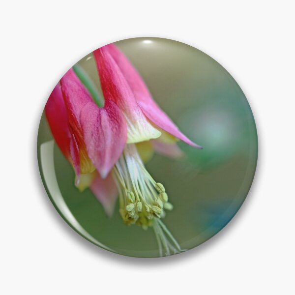 Item preview, Little Lantern Columbine designed and sold by Deb Oppermann.