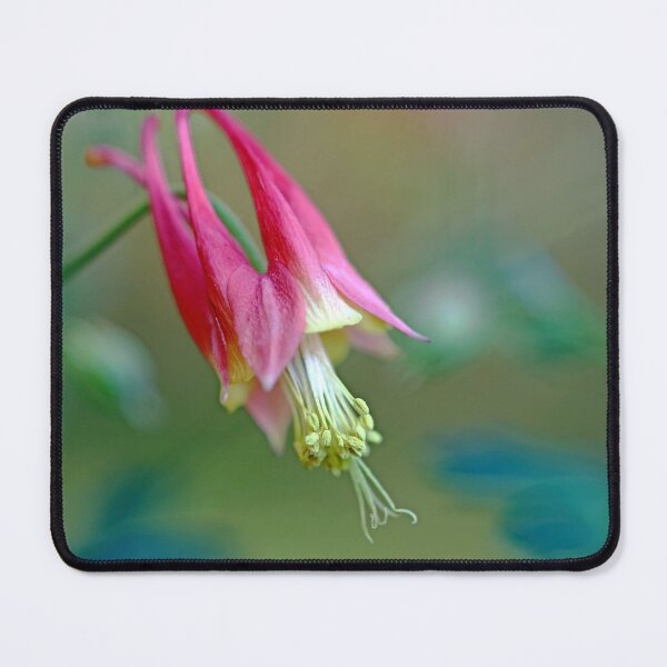 Item preview, Little Lantern Columbine designed and sold by Deb Oppermann.