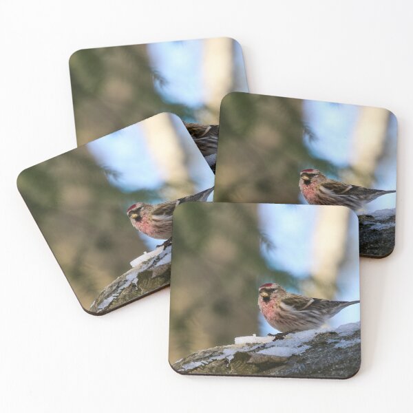 Item preview, The red one. Mealy redpoll designed and sold by Jouko Lehto Photography.